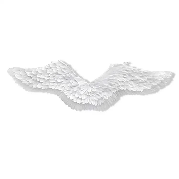 feather wings photography halloween christmas adult angel wings