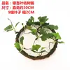 Ginkgo leaf dead tree circle