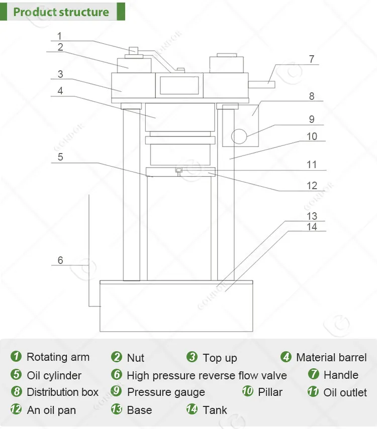 Coocking Make Olive Extruder Baobab Chilli Seed Extraction Cooking Extractor Sacha Inchi Oil Press Machine