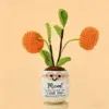Pianta in vaso arancione
