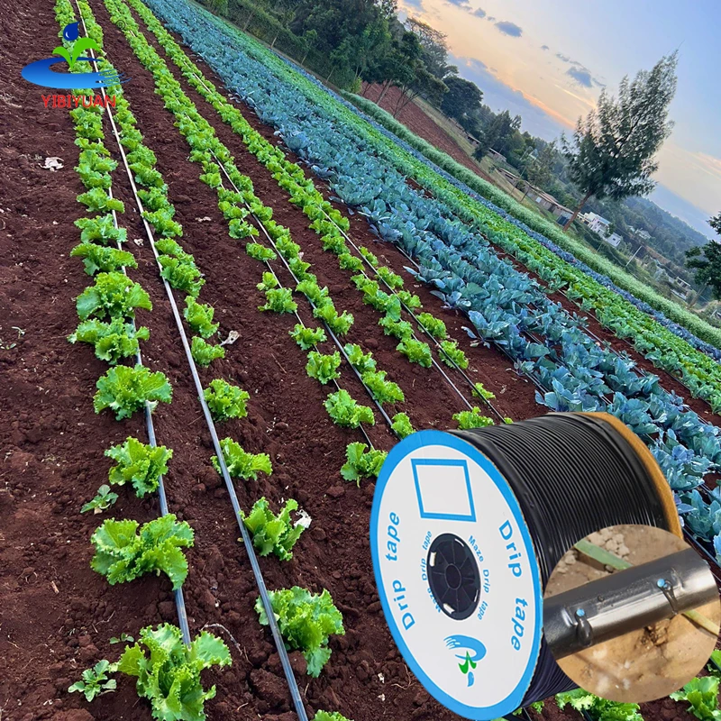 1Hector Complete Drip Irrigation Kit for Maize Small Farm Plastic Irrigation System Greenhouse Garden for Sale Including Drip