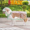 Impermeable transparente puro con ribete verde.