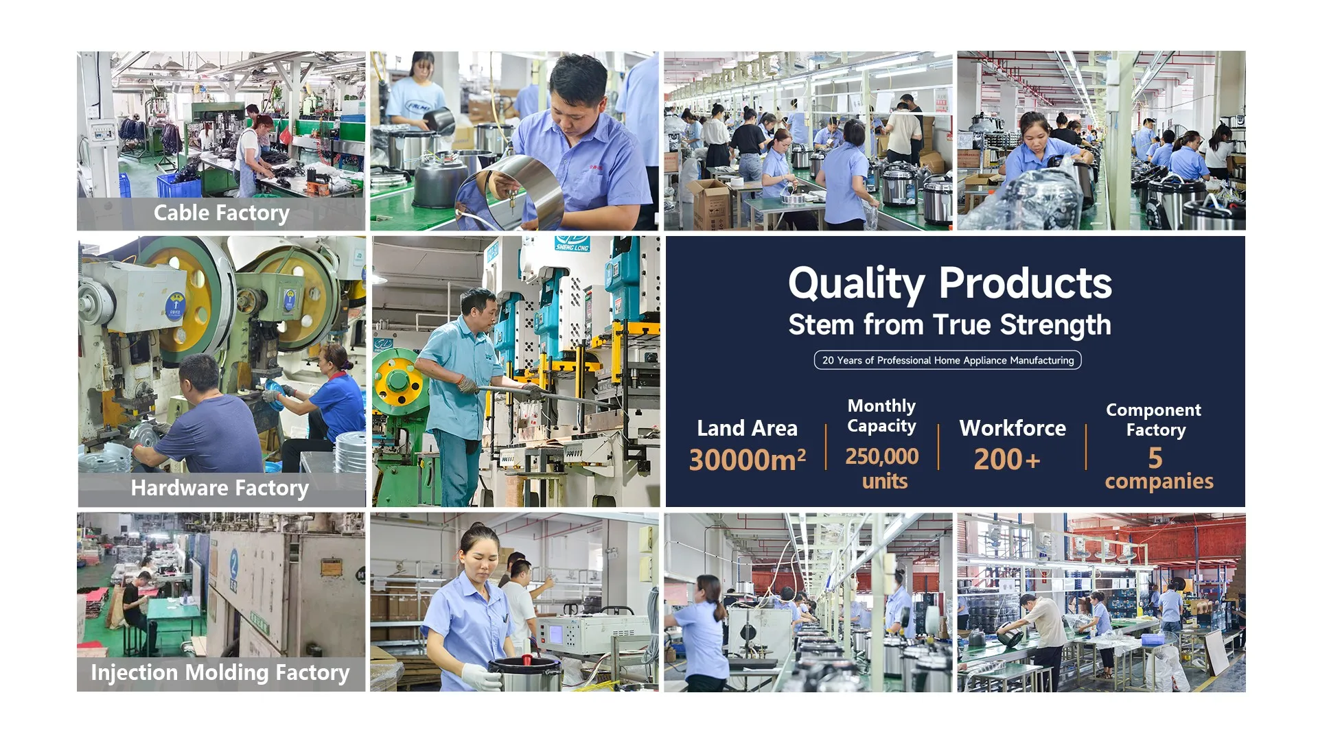 6l 220v 80kpa Freonfree Electric Pressure Cooker Multifunction