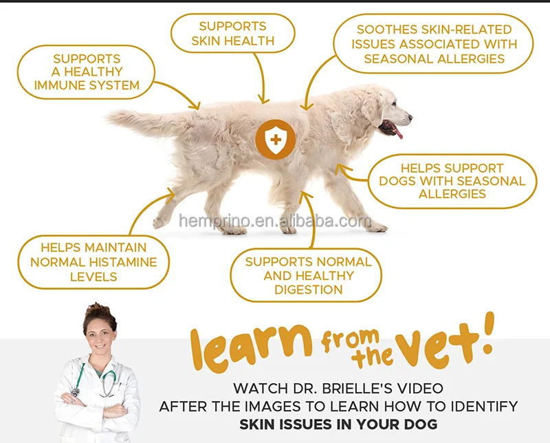 Allergy Immune Pet Nutrient Chondroitin Omega Fish Oil Probiotics Dogs Joint Supplement