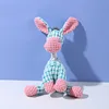 burro azul