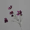 Morado oscuro