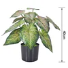 A-40CM สีเขียว