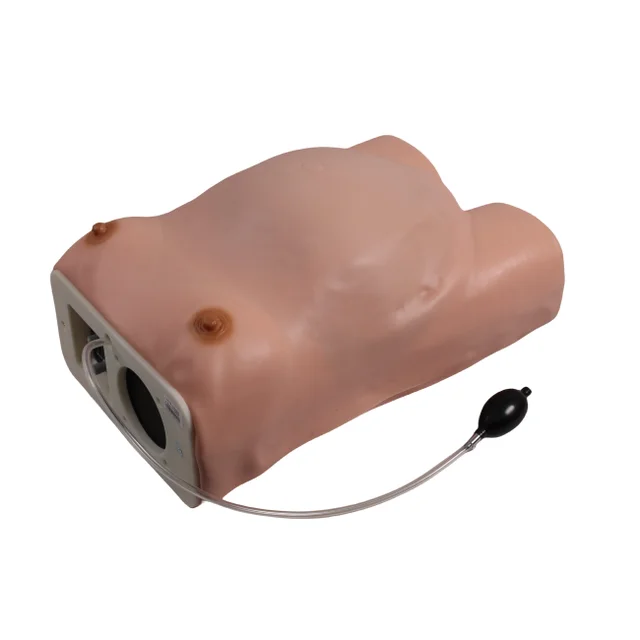 Maternity Examination Simulator Palpation Teaching Training Model GD/FW2