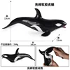 JS cotton soft gum killer whale