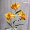 Peinture à l'huile d'iris orange
