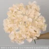 Ramo de hortensias de lana color champán con 7 cabezas.