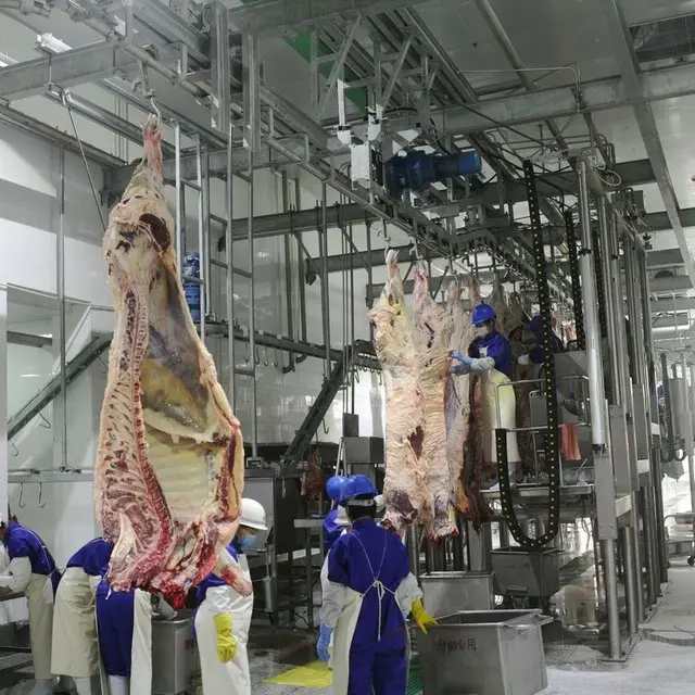 Halal cattle slaughtering equipment production line (suitable for slaughterhouses)