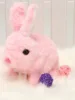lapin rose