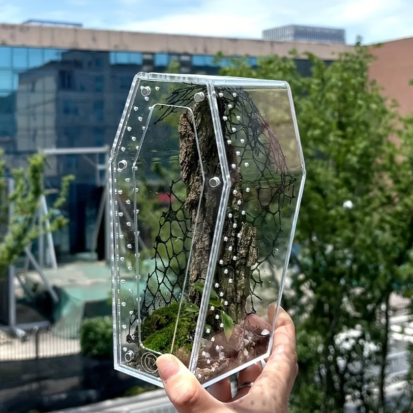 product acrylic jumping spider habitat versatile reptile enclosure transparent insect terrarium habitat for spiders tarantula gecko-8