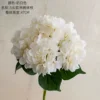 Creamy White