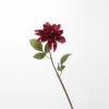 Dahlia (rouge foncé)