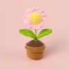 Pink-daisy potted plant-mini wool basin