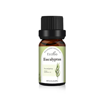 Bulk eucalyptus oil supplier, organic eucalyptus essential oil pure natural therapeutic grade