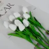สีขาว