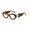 Tortoise shell frame transparent sheet