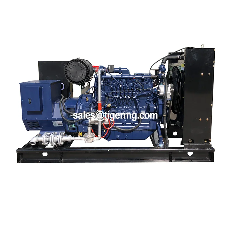 50kw 1000kw Farm Hydrogen Generation From by Mobile Biomass Methane Power Generating Plant Generator Combustion