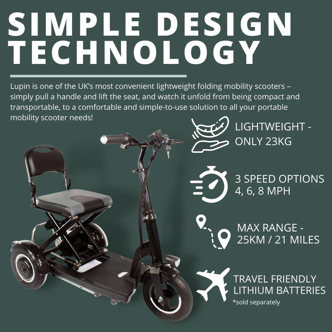 Dynalion Travel 3 Wheels Elderly Disabled Electric Scooter High Performance Handicapped Folding Mobility Scooter For Seniors