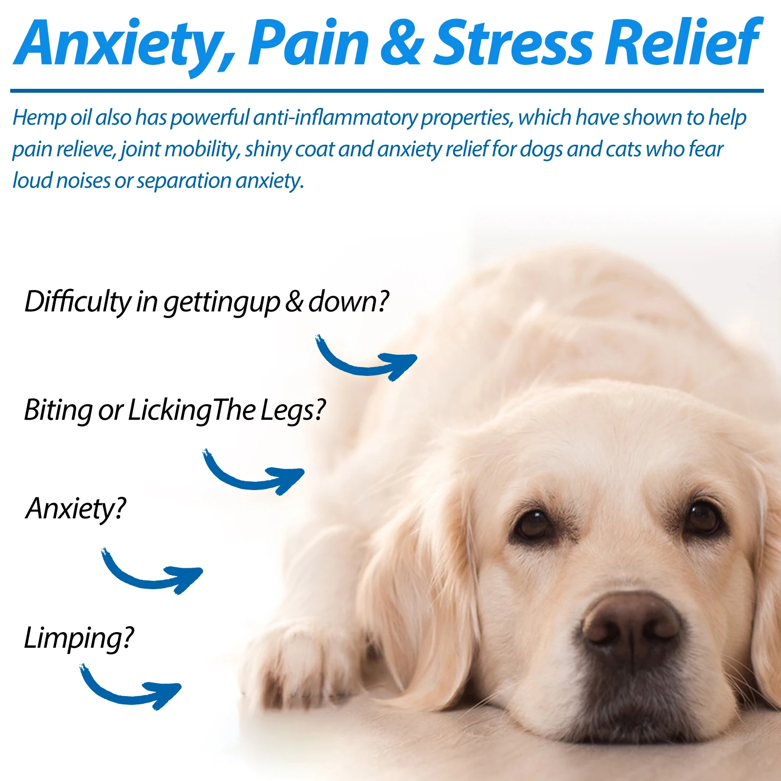 Sleep Aid Pet Calming Hemp Oil Drop Organic Treats Hemp Oil For Dogs