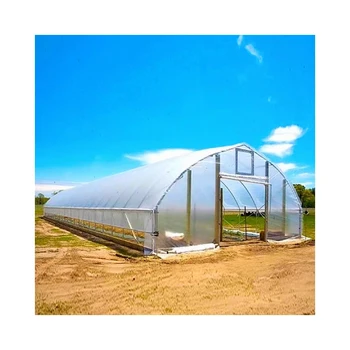 Hoop Agricultural Steel Frame Tunnel Green House Structure Greenhouse