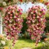 light pink rose red