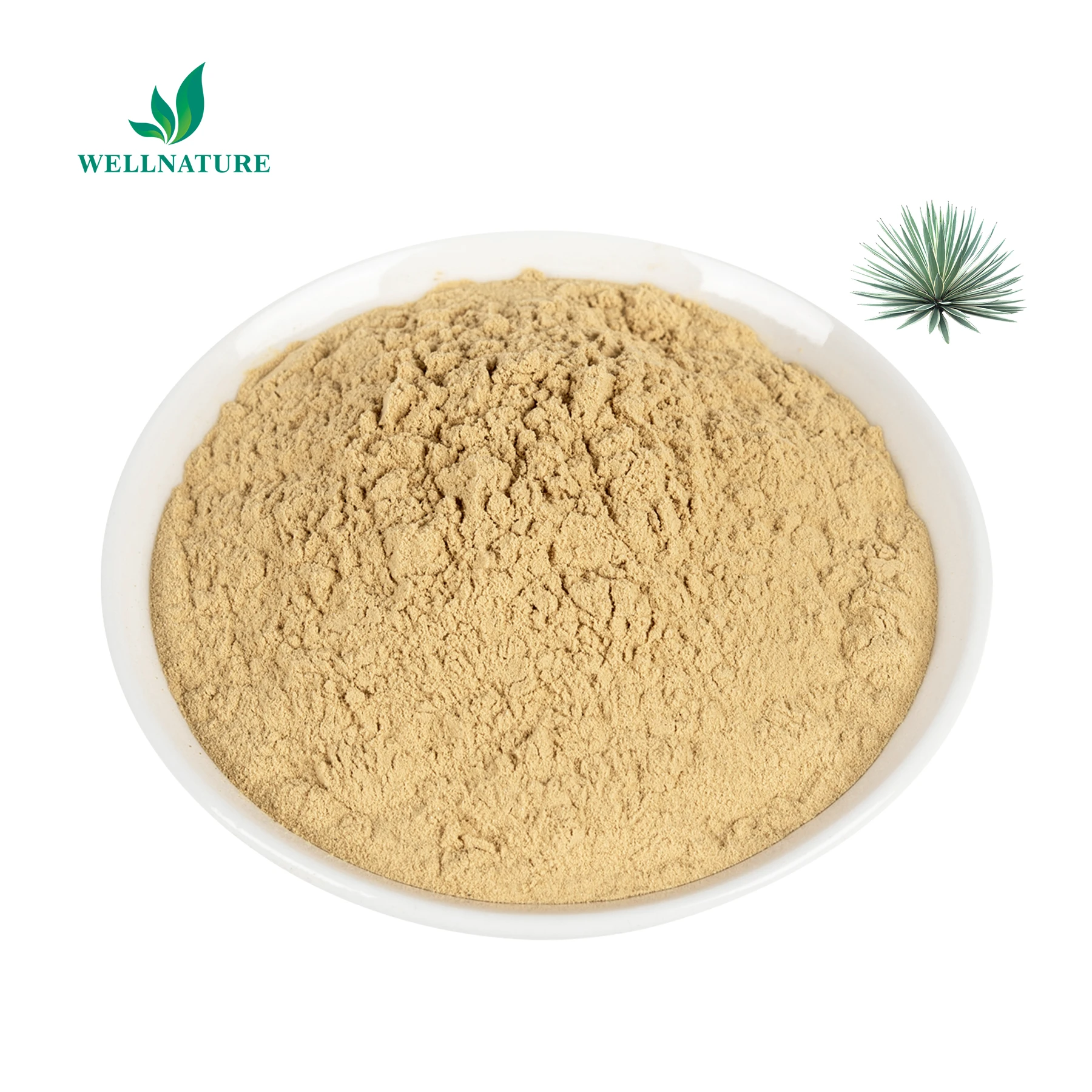 Free Sample Natural Herbal Extract Schidigera Yucca Extract Saponins 30% 60% Yucca Extract Powder
