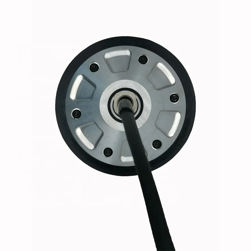 Waterproof and Shockproof 36V High Quality and Favorable Price Electric Wheel Hub Motor