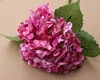 Rose garance