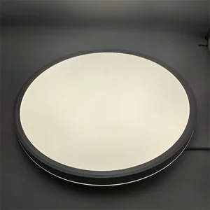 Modern Design Round LED Ceiling Lamp High Quality Fashion Style for Bedroom Home Lighting Plastic Base AC Power Mini Sizes