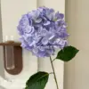 Bella hydrangea light purple