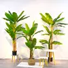 Albero di banane 16#