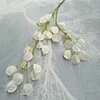 Blanco, StyleA #1