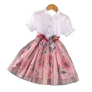 2023 Summer Korean Girls Clothing Puff Sleeve Floral Print Patchwork Hot Sale Fashion Princess Dress Kids Mesh Dresses