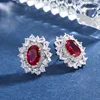 Red corundum ear studs