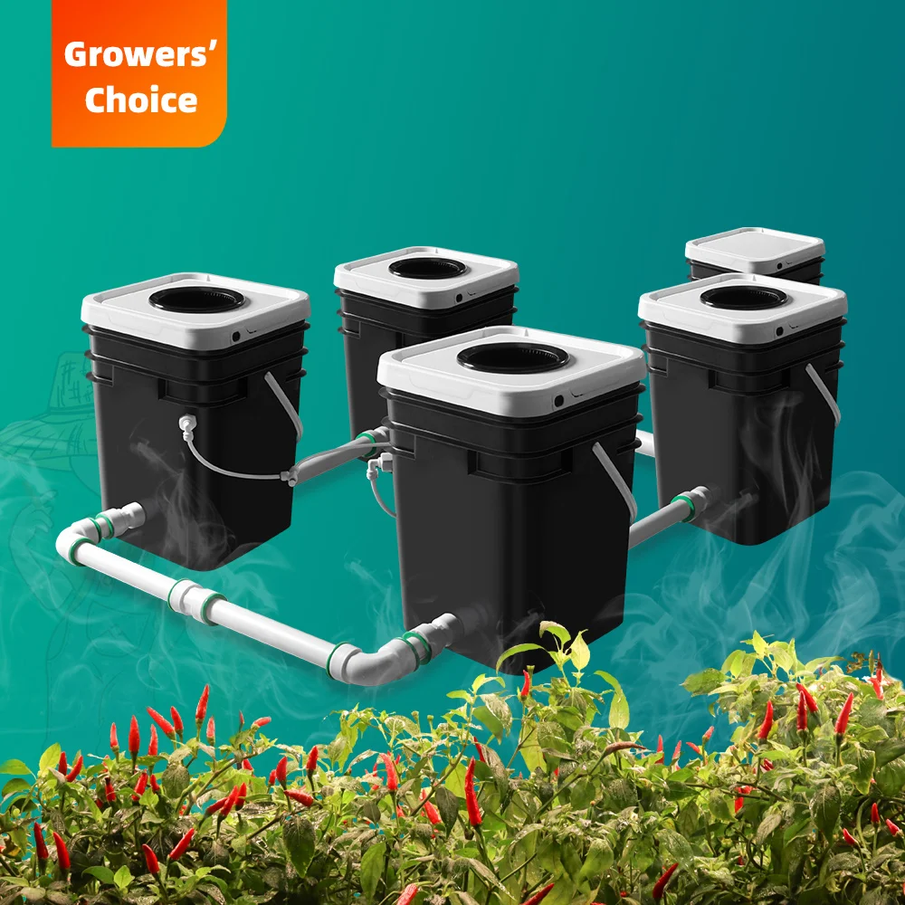 Competitive Price Mushroom Hydroponic Cultivation System Hydroponics System With Led Rdwc 8 Hydroponics System With Best Price