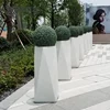 Optionnel