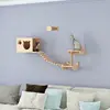 Paquete 1