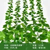 Glued 99-leaf pothos stalk (1 stalk)