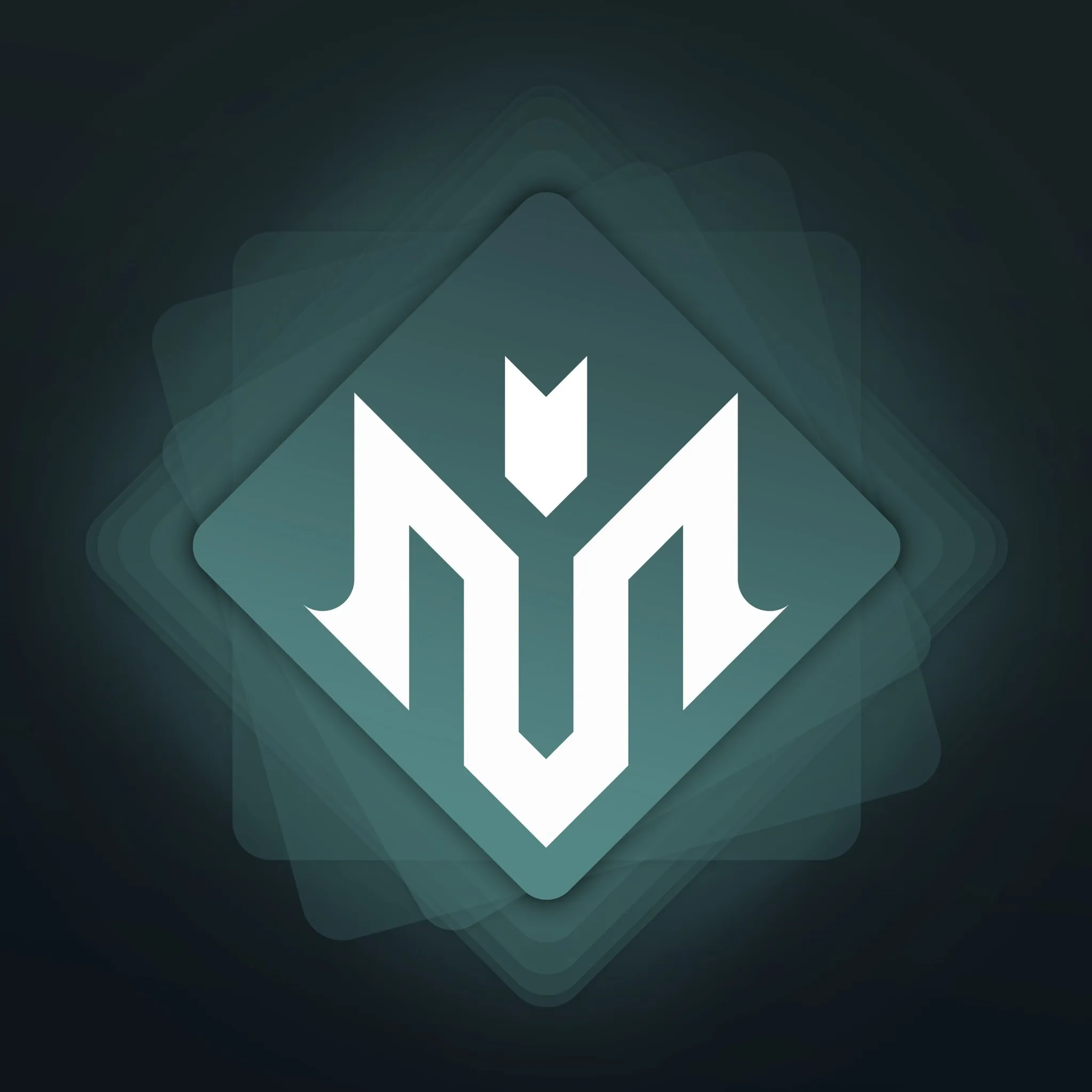 Company Overview - Ali Market