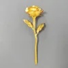 colorful Golden (18 cm