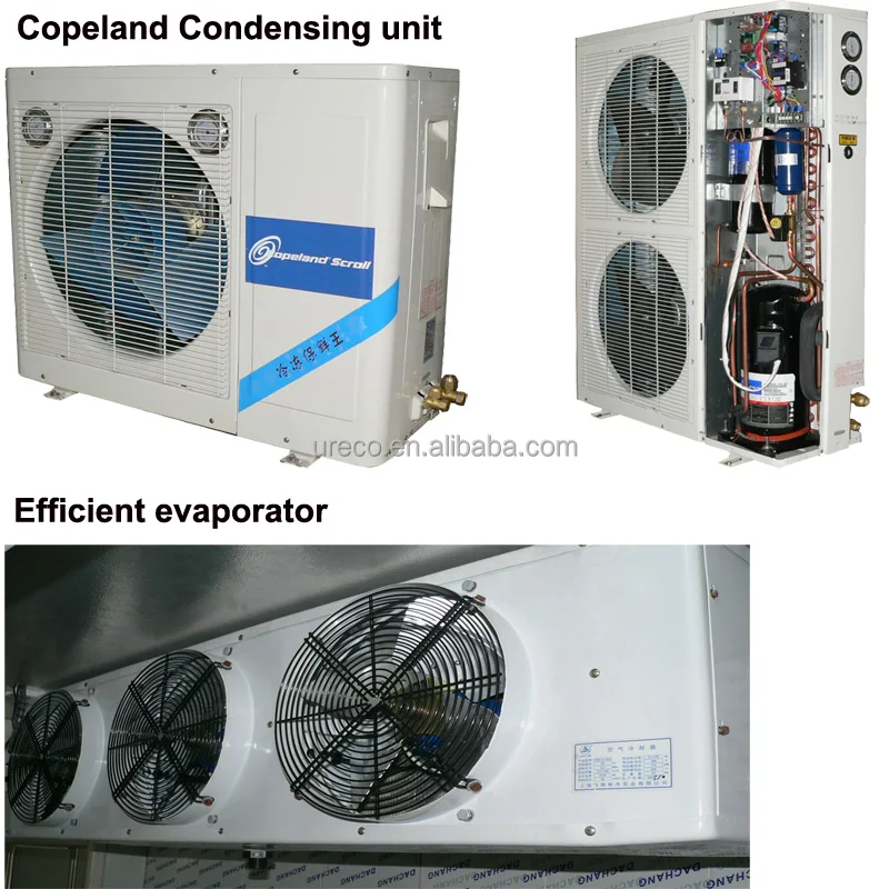 Cold Room Storage, 110V - detail 10