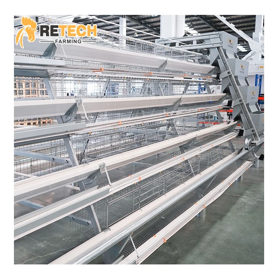 New Design 4 Tires a Type Semi-Automatic Chicken Battery Cage for 5000 Layers