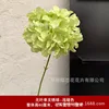 Leafless single-branch hydrangea-light green