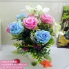 10-piece luxury set with pot [Pink and Blue]