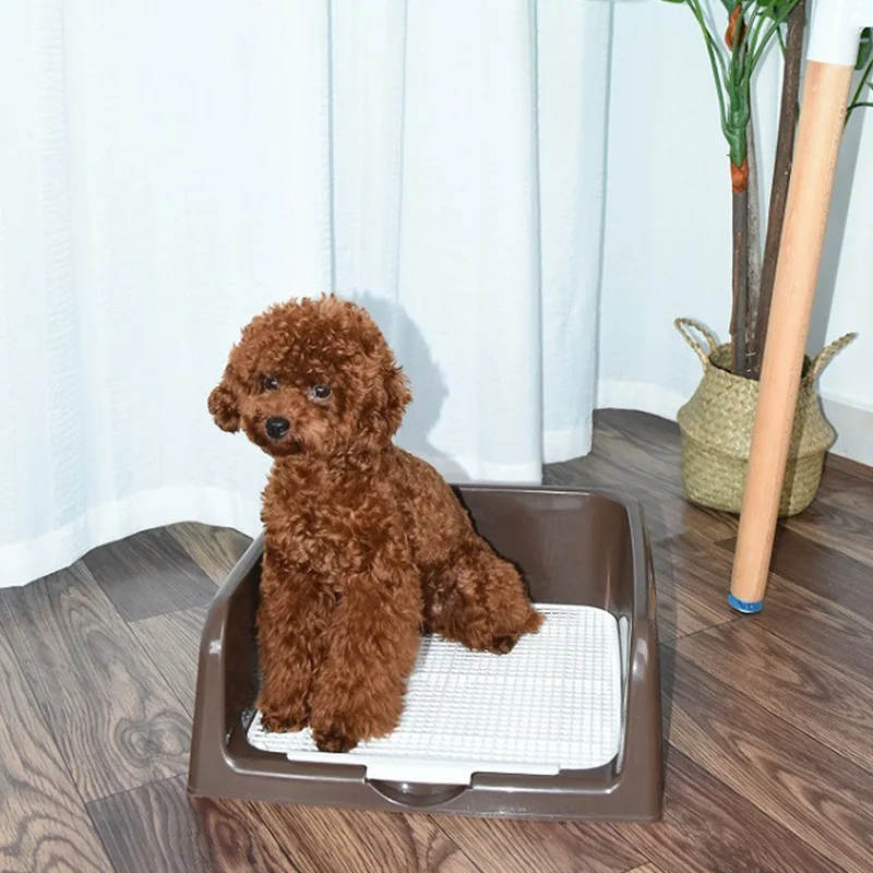 Pet Dog Toilet Puppy Potty Urinal Lavatory Basin Pee Training Tray Pp ...