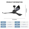 Black+FAN NO LIGHT